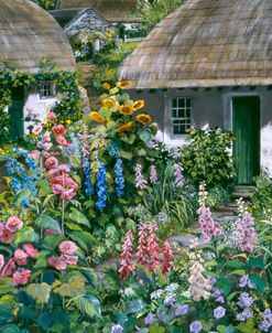 The Cottage Garden