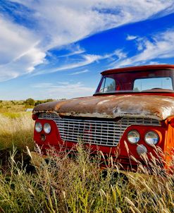 Orange Pickup