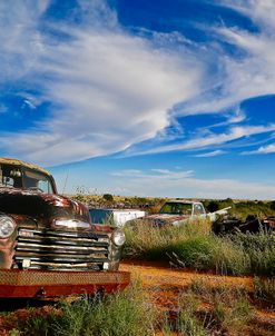 Field Of Trucks