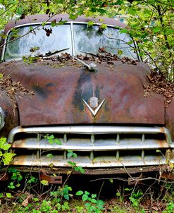 Caddy In The Trees