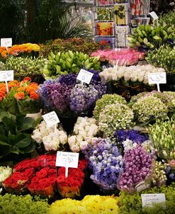 Flower Mart