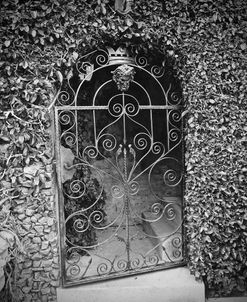 Gate With Ivy