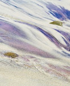 Purples and Sand of Big Sur