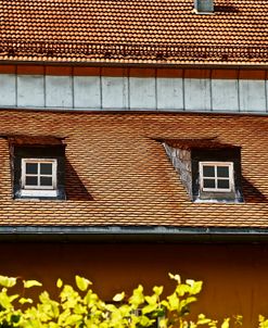 Double Window Rooftop