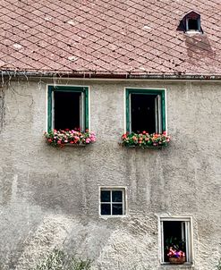 European Farm House