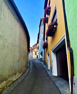 Flower Boxes Up The Road