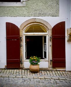 Potted Plant on Cobblestone