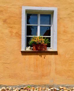 Single Window with Flowerbox