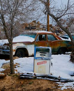 Vintage Car in the Trees