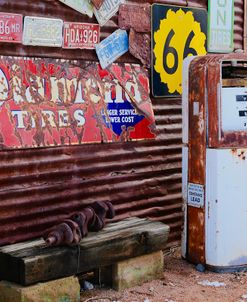 Vintage Signs with Gas Pump