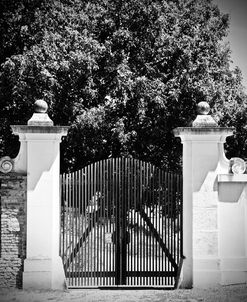 Wooden Gate Black and white