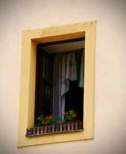 Yellow Window Flowerbox