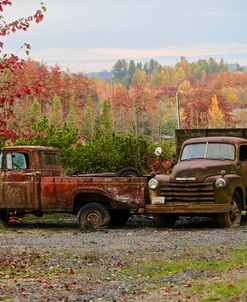 2 Autumn Vintage Trucks