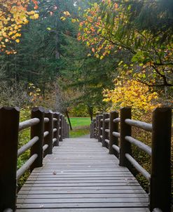 Autumns Bridge