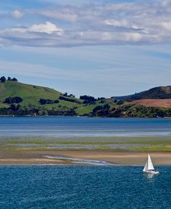 Lone Sailor in New Zealand