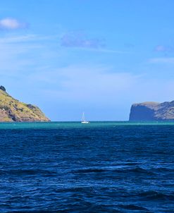 Lone Sailor in New Zealand 2