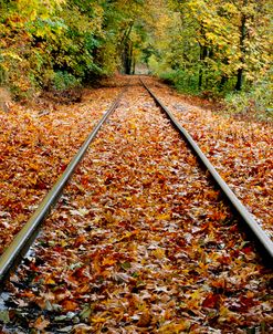 Looking Down the Tracks