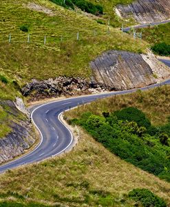 NZ Curved Road