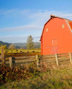 Red Barn with Cows 2