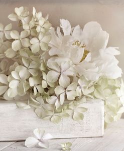 White Flower Book