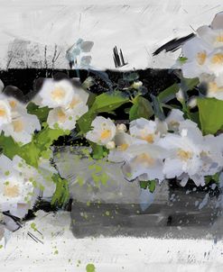 Expression Of April