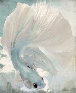 Bridal Tide