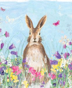 Meadow Hare