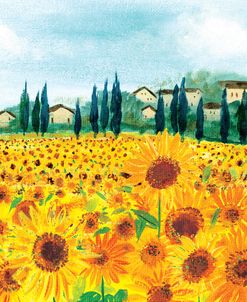 Sunflowers in Provence