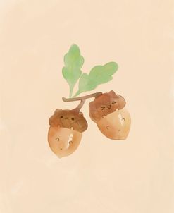 Acorn Cats