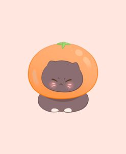 Angry Orange Cat