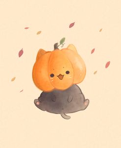 Halloween Pumkin Head Cat