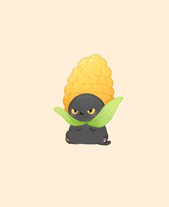 Corncub Cat