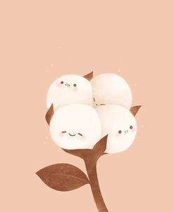 Cotton Balls