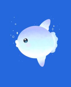 Sea Mola Mola Fish