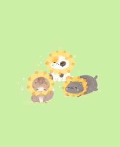 Sunflower Cats