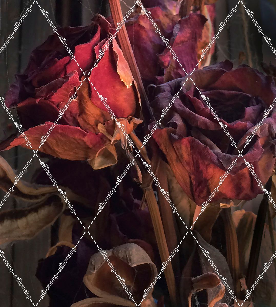 Faded Roses