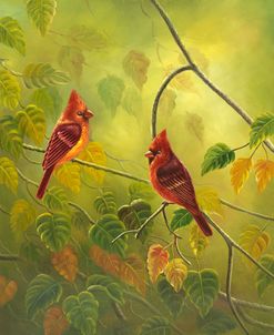 Autumn Cardinals