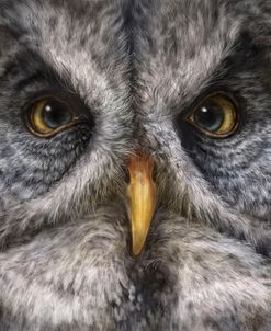 Great Grey Owl Totem