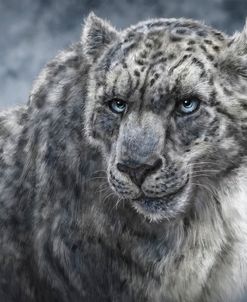 Snow Leopard Totem