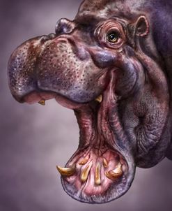 Hippo Totem