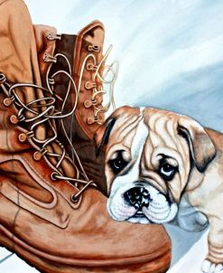 Boots Bulldog