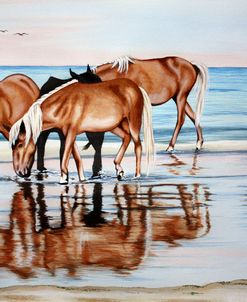 Horses On Beach