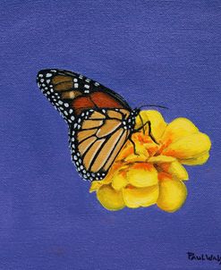 Monarch Butterfly