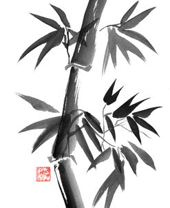 Bamboo 01