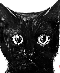 Black Cat