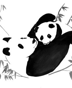 Panda Family