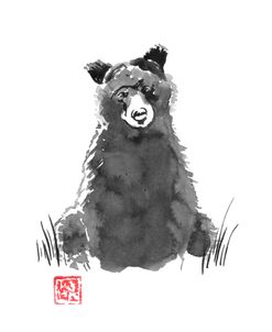 Bear