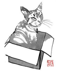 Cat In Box