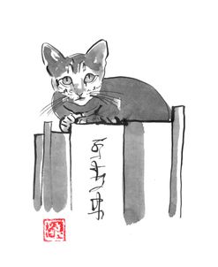 Cat On Books 02