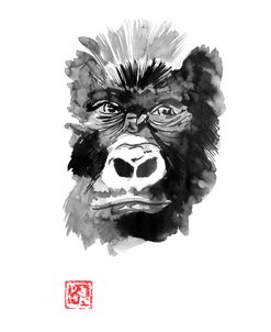 Gorilla